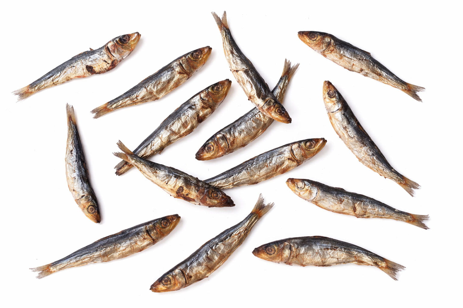 Australian whole sardines natural dog and cat treats