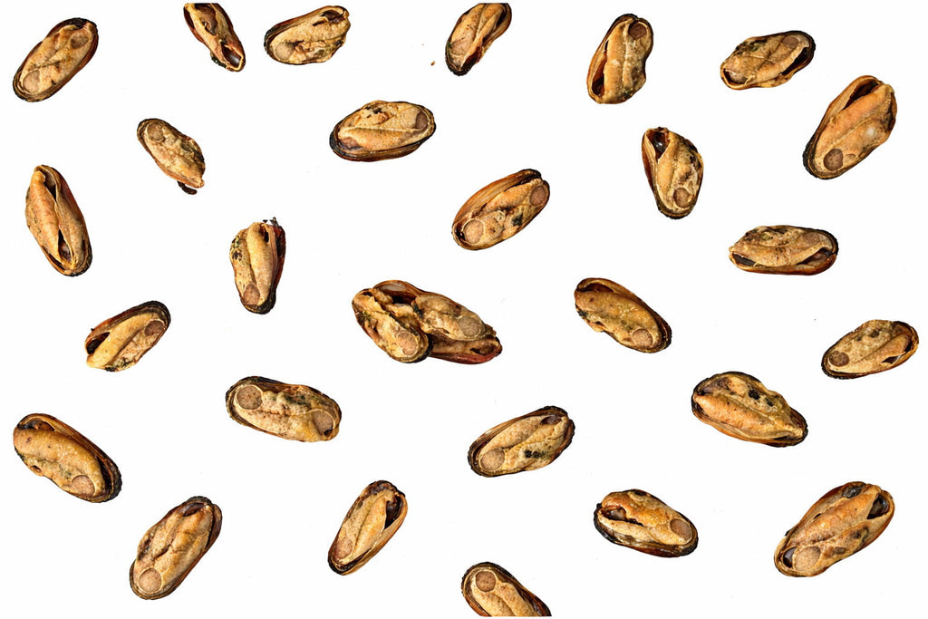 Natural green lipped mussels dog and cat treats for joint support