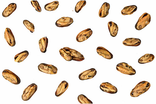 Natural green lipped mussels dog and cat treats for joint support